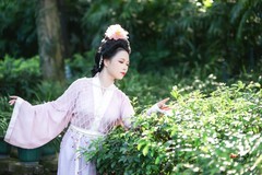 【竹影摇粉裳】---莉莉