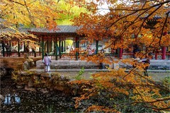 2025年第0780贴-颐和园谐趣园风光纪实拍（1111）