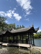 2026年- 陶然亭公园纪实拍-0309
