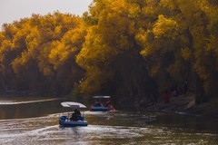 外出随拍（636）.