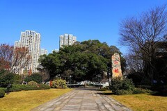 温州古榕春晓公园 (2)