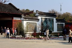 武汉梅花园（十二）