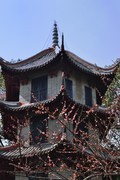 草堂探花【1】