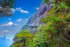 山清山风景57