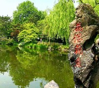 1843【不老松：纪实摄影】〖山河锦绣、詩画江南〗杭州西湖：花港观鱼！西湖十景之一。