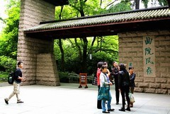 1845【不老松：纪实摄影】〖山河锦绣、詩画江南〗杭州西湖：曲苑风荷内有江南三大名石