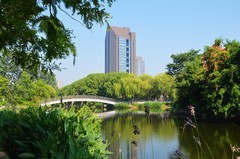 一组公园风景片