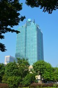 一组公园风景片
