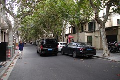 带 着 老 奥 citywalk ------ 1