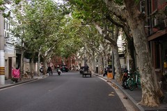 带 着 老 奥 citywalk ------ 1