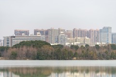 庐州印象（567）