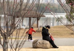 庐州印象（568）