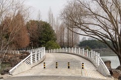 庐州印象（568）