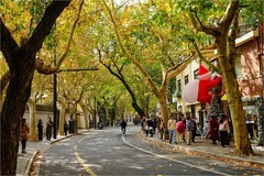 2026年第0093贴-上海武康路纪实街拍（0201）