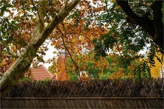 2026年第0093贴-上海武康路纪实街拍（0201）