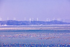 外出随拍（824）.