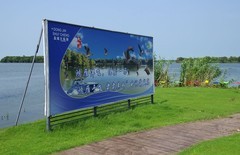 盐城大纵湖船游