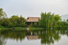 尼康D780-尼山随拍