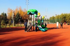 同心公园秋色（3）