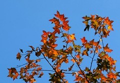 省图书馆的外景。