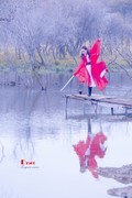金秋乌兰布统——秀女武女（15）