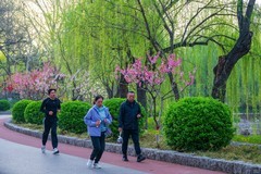游春