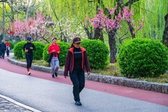 游春