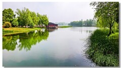 尚湖湿地（一）