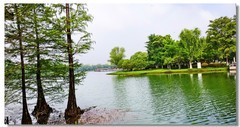 尚湖湿地（一）