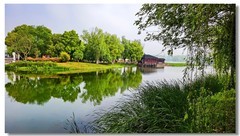 尚湖湿地（一）