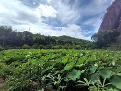 2026夏天游（13）建筑群紧贴岩壁而建