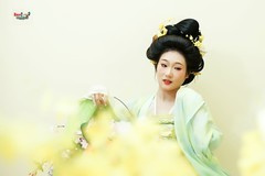 【绿绡花影】---引力