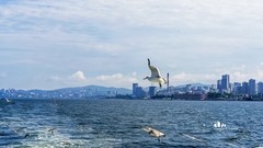 海参崴——艇上拍（16）