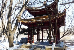 冬逛泰和园（2）