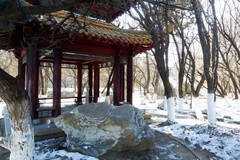 冬逛泰和园（2）