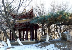 冬逛泰和园（2）