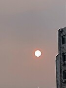 漫步星城 （953）带来宜人的温暖