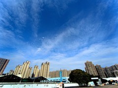 漫步星城 （954）书画院