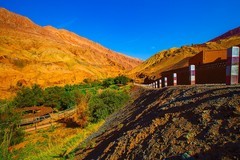 新疆旅行游拍 4