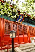 智华寺梨花之三（完）