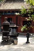 法源寺丁香花之一