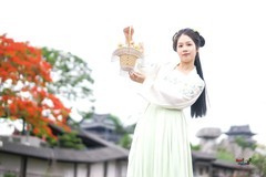 【古风少女】---桐桐