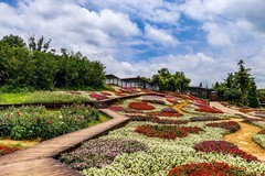旅游记录 ：贵州 · 贵阳 · 羊昌知青公社