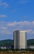 2026小城的春（肆拾玖）