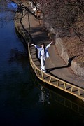 【视觉光影】红 叶 谷 人 像（3）