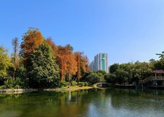 晓港公园冬色。