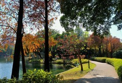 晓港公园冬色。