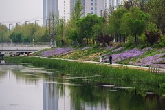 河边春景