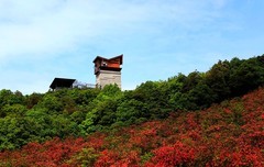 瑞安马屿圣井山 (5)