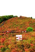 瑞安马屿圣井山 (5)